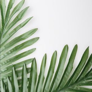 Meet your Posher, Bee